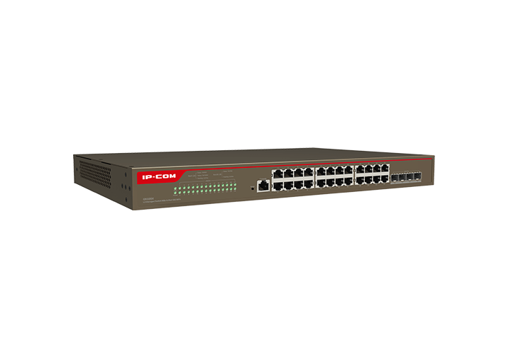 2. Networking Light brown IC-G5328X