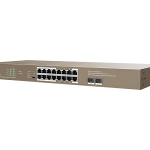 2. Networking Light brown IC-G1118P-250
