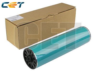 Ricoh Copier Parts&Toner RICE101009