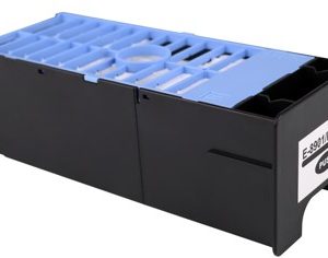 Epson DIY & Inchiostri EPWT8901