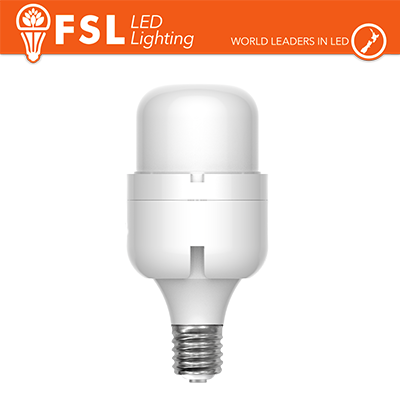 FST110 Lampade & Bulbi FLT2-80W4KE40