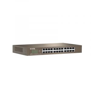 2. Networking Blue NT-TEG1024D