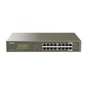 2. Networking Brown NT-TEG1116P-150