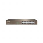 2. Networking Blue NT-TEG1016D