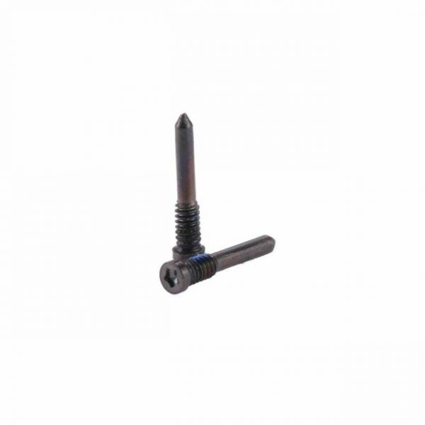 Apple Ricambi Apple SPIPXSMAX31