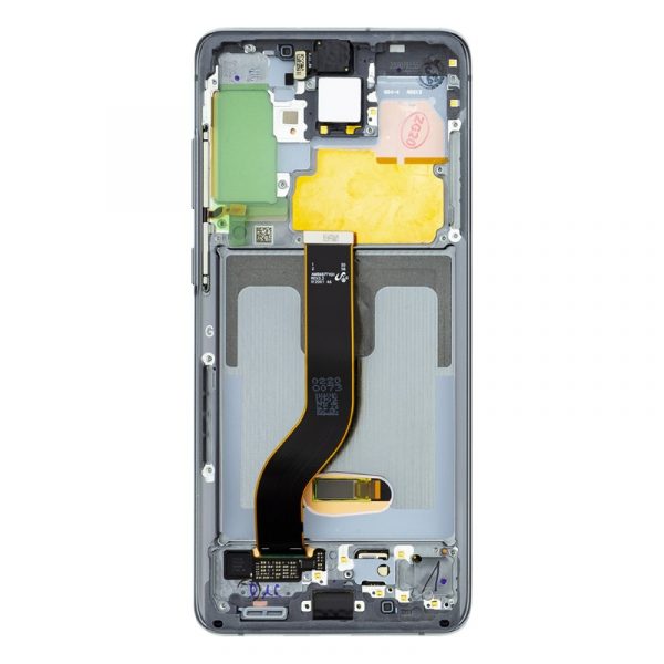 Samsung Ricambi Samsung RCSAS20PLCG