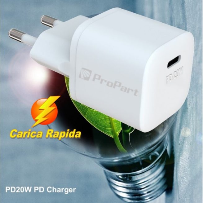 Mini Carica Batteria Rapido PD 20W Uscita Tipo-C