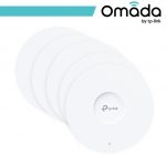 2. Networking White OMA-EAP653-5