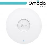2. Networking White OMA-EAP653