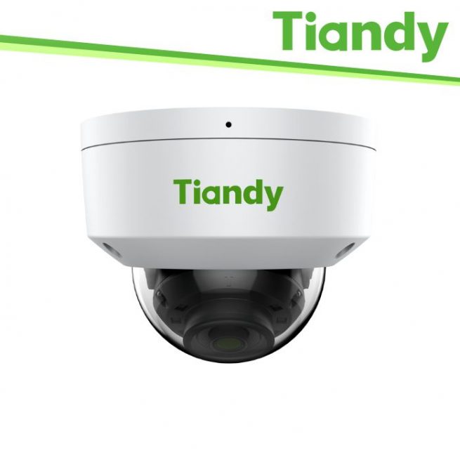3. Security - TIANDY White TD-D45S-AP28