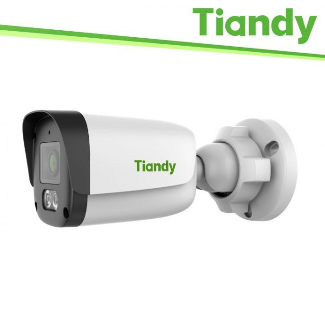 3. Security - TIANDY White TD-B24N-WAP28P