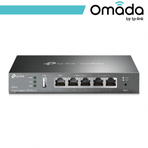 2. Networking Gray OMA-ER605