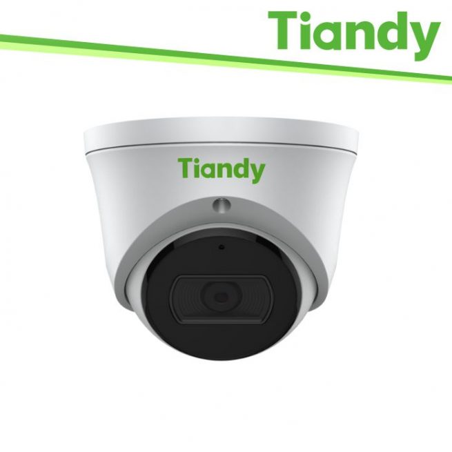 3. Security - TIANDY White TD-T24N-WAP28P
