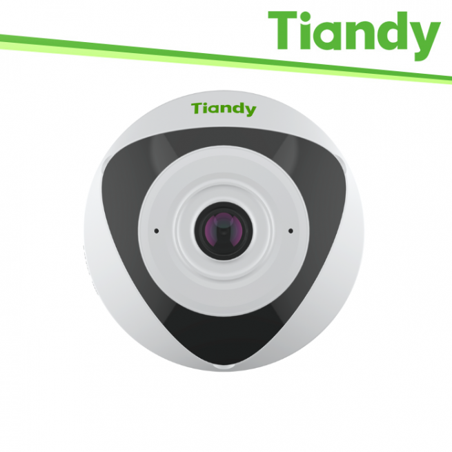 3. Security - TIANDY White TD-F45N-AP14P