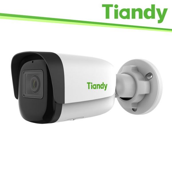 Tiandy 3. Security - TIANDY TD-B38S-AP28