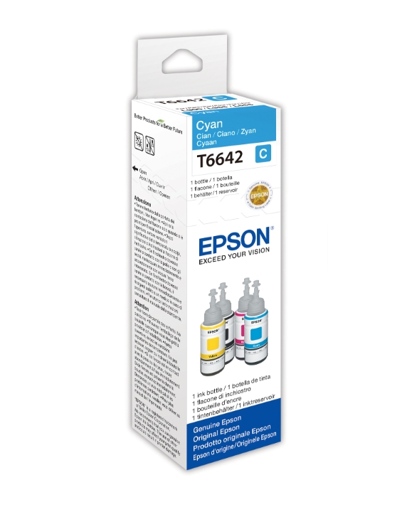 Epson Stampante&Originale “DDD” DIC13T664240