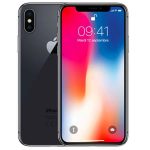 Apple iPhone X 256GB Usato Grado A Grigio Siderale