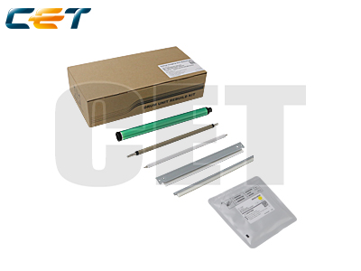 RICOH Copier Parts&Toner RICE501066